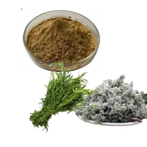 Artemisia Capillaris Extract