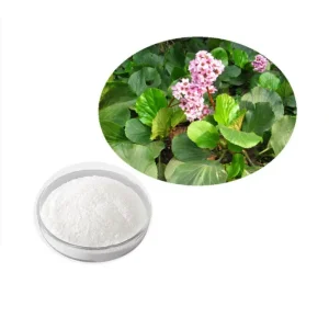 Bergenin Extract