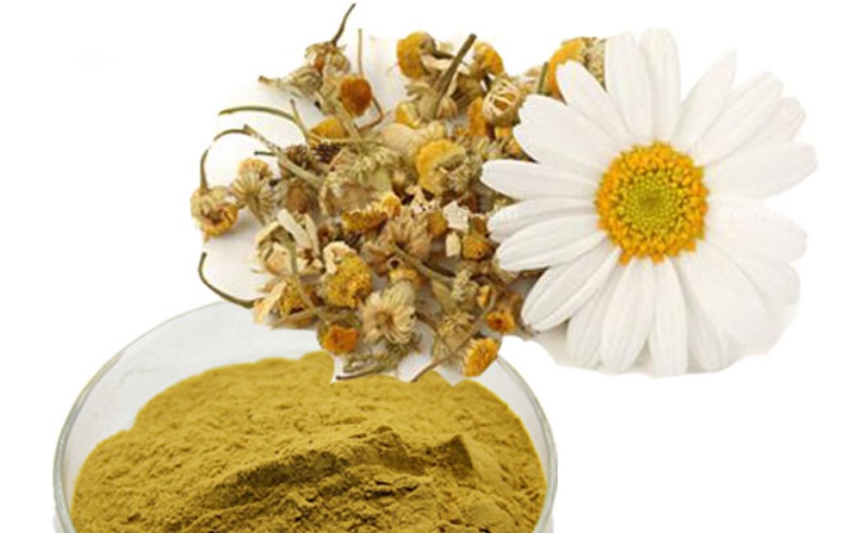 Chamomile Extract