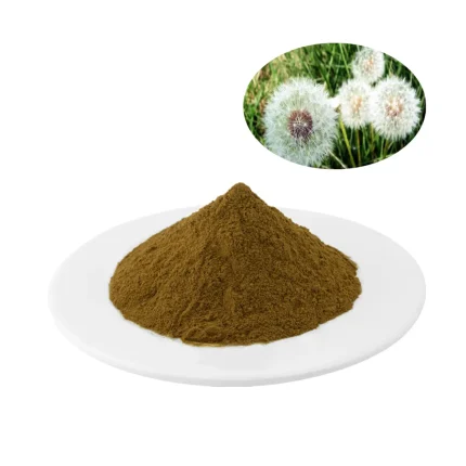 Dandelion Extract 5%,10% Flavones Test by UV Dandelion Extract is used in inflammation and congestion of liver