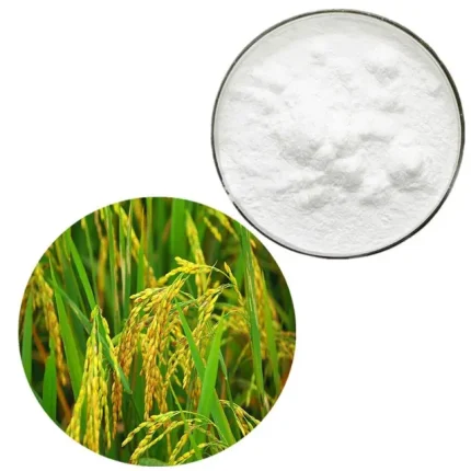 Ferulic acid 100% pure natural ingredient