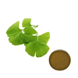 Ginkgo Biloba Extract