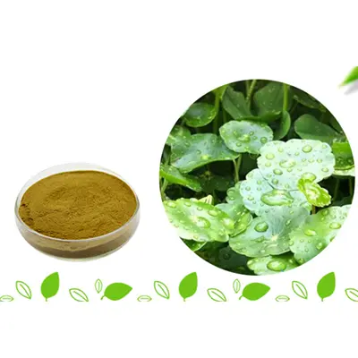 Gotu Kola Extract Gotu Kola Extract can Whitening skin