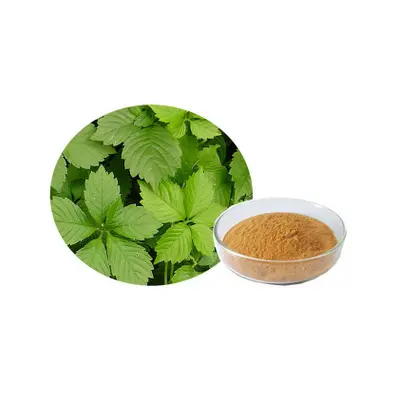 Gynostemma Extract Lower blood pressure, blood fat, lowering blood sugar.