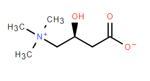 L-Carnitine Chemical structure