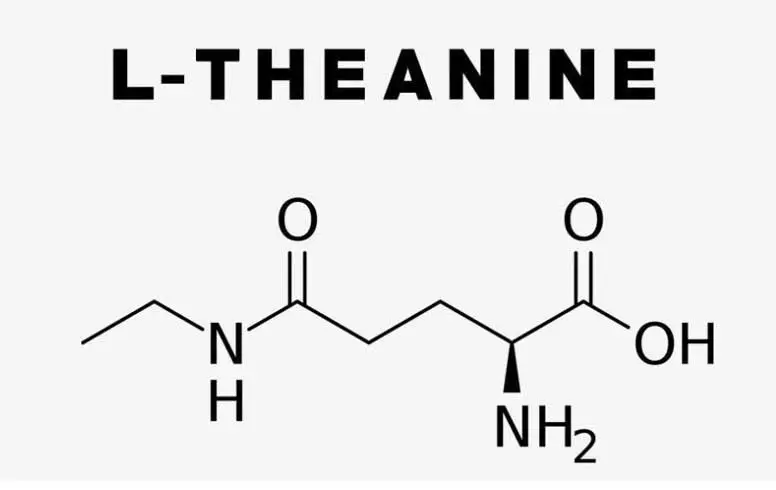 L-THEANINE