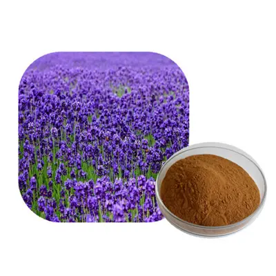 Lavender Extract Relieve nerve, builds character, with the promotion of sleep magic.