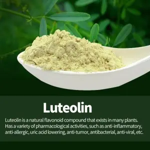 Luteolin Luteolin 98% Test by HPLC