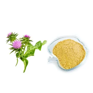 Milk Thistle ExtractV