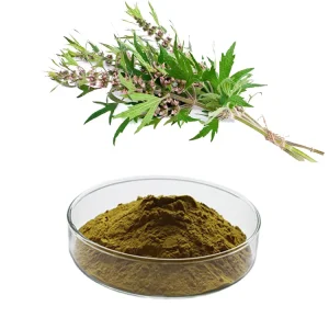 Motherwort Extract