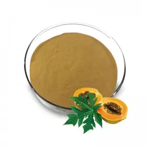 Papaya Leaf Extract