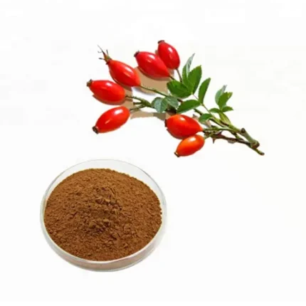 Rose Hips Extract Rose hip Extract is antiseptic, anti inflammatory