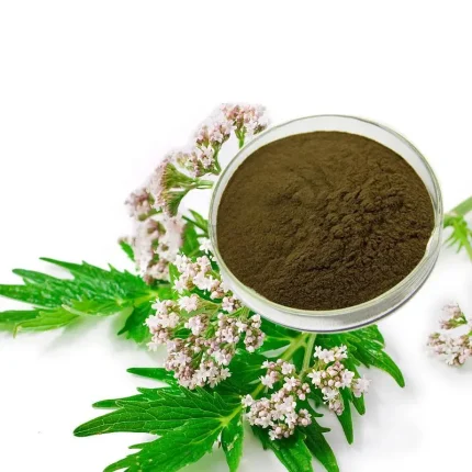 Valeriana Extract 0.8% Valerenic acids and 10:1