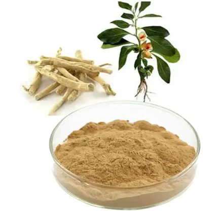 Withania Somnifera Extract