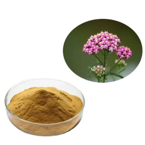 Yarrow Extract