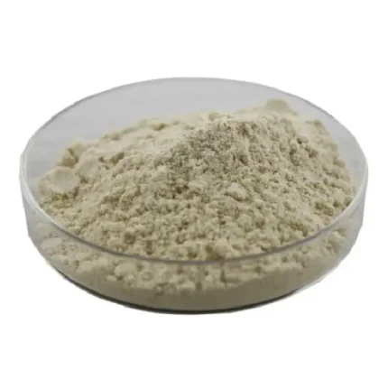 Yeast Extract β-D glucan β -D glucan 80% can Lipid-lowering reducing weight