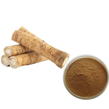 Arctium lappa Extract