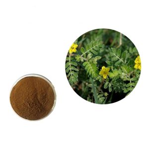 Tribulus Terrestris Extract