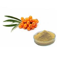 Sea Buckthorn Extract