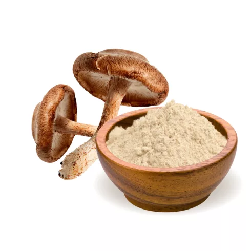 Shiitake Mushroom Extract