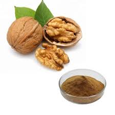 Walnut Peptide