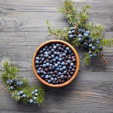 5 Emerging Benefits of Juniper Berries