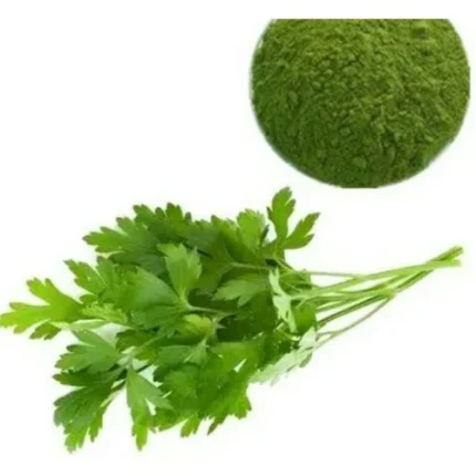 Parsley Extract