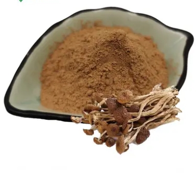 Agrocybe Aegerita Extract