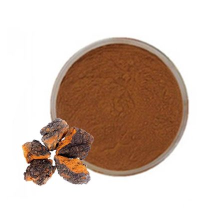 Chaga Mushroom Extract