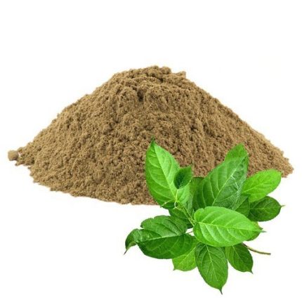 Gymnema Extract