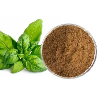 Holy Basil Extract