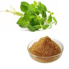 Oregano Extract