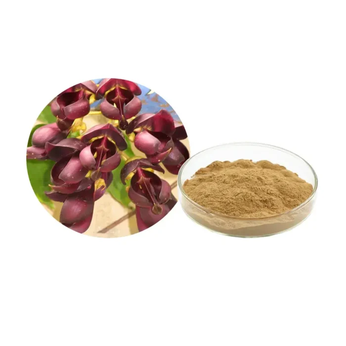 Pueraria Flower Extract