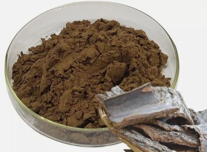 Eucommia Ulmoides Extract