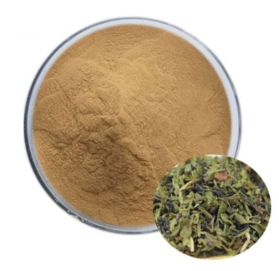 Huperzine Serrate Extract