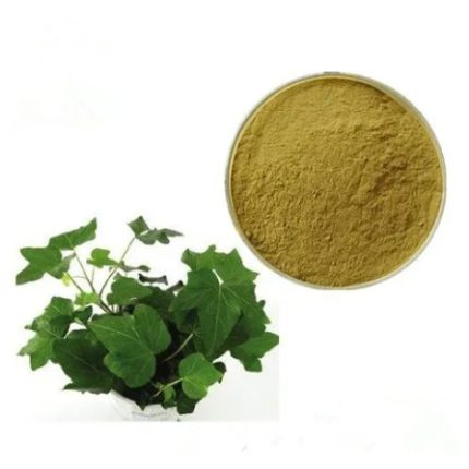 Ivy Leaf Extract